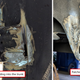 Illustration for article titled How I Saved My Project BMW E30 From Rust Oblivion by Learning to Weld